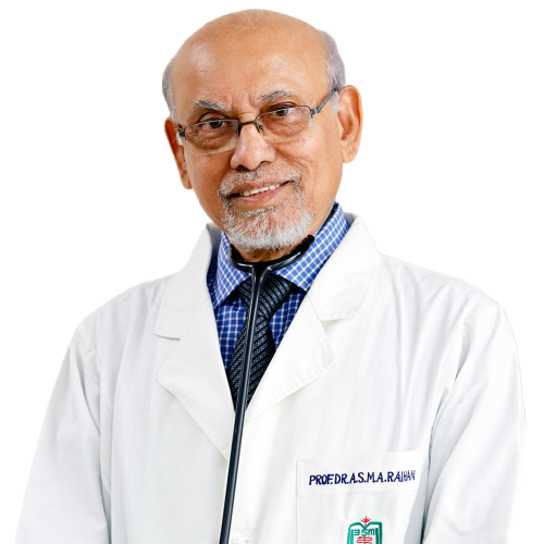 Prof. Dr A.S.M.A. Raihan