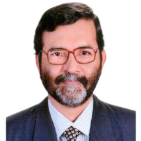 Prof. Dr Sajal Banerjee
