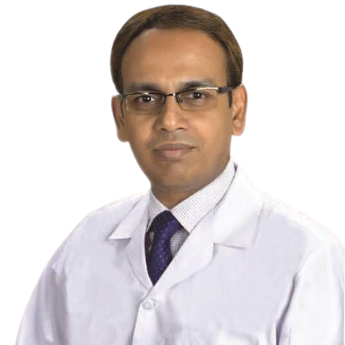 Prof. Dr Md. Rafiqul Islam