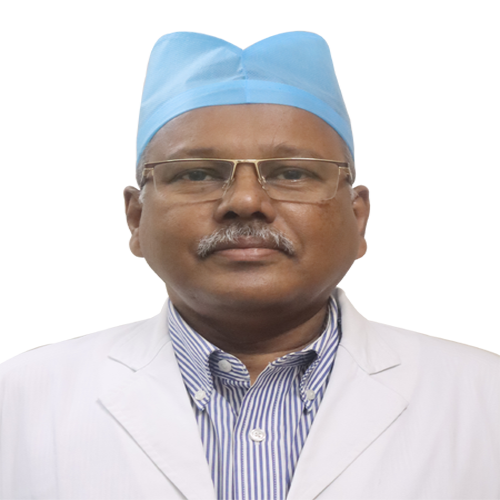 Prof. Dr Hasan Sayedee Khan