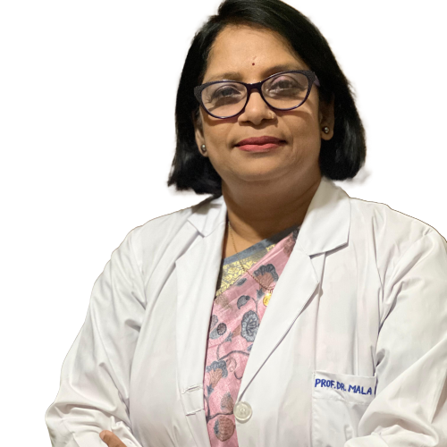 Prof. Dr Mala Banik