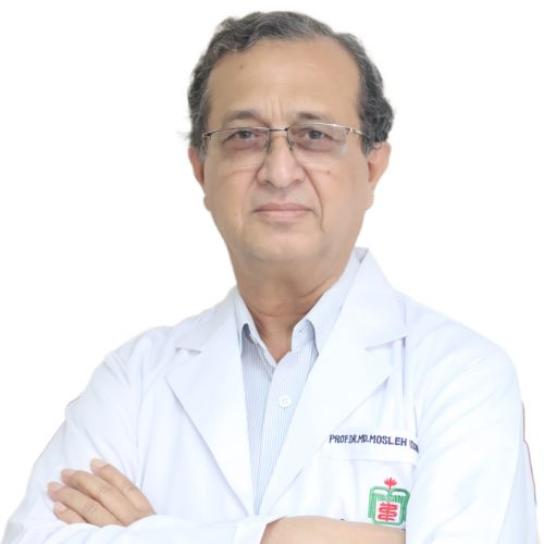 Prof. Dr Md. Mosleh Uddin