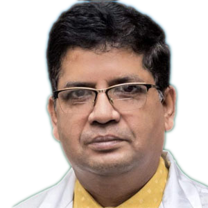Prof. Dr Manjurul Karim Prince