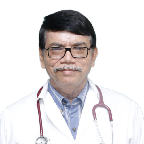Prof. Dr Chandan Kumar Saha