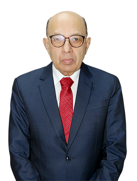 Prof. Dr Ranjit Roy